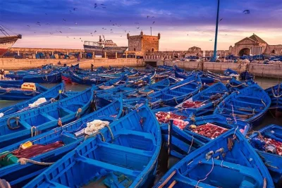 Experience essaouira’s medina, ramparts, and local markets on a day trip from agadir. includes pickup, stops for argan oil, and guided city walk.
