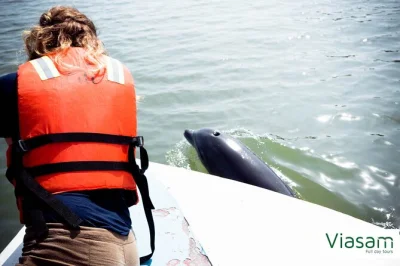 Explore guayaquil’s mangroves by boat, spot wild dolphins and birds, meet local fishermen, and enjoy a fresh ecuadorian seafood lunch. includes hotel pickup.