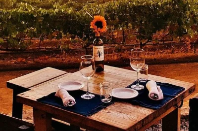 Tour privato all-inclusive nella valle de guadalupe. salta le code al confine, gusta un brunch sulla costa, due degustazioni in vigneto e una cena raffinata per gruppi.