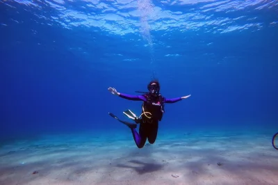 Start your padi open water diving course in aqaba with expert instructors, private transport, and all scuba gear included. dive the red sea, learn at your pace.