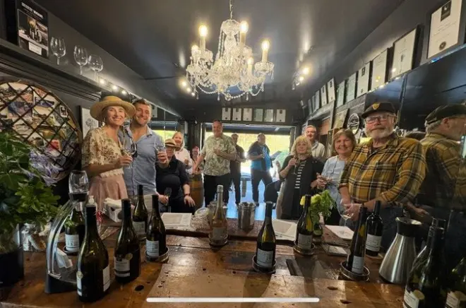 Degustazione vini a Marlborough: 3 cantine boutique incluse