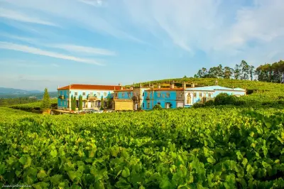 Tour de vino en Galicia 4 días: Guía privado, regiones vinícolas