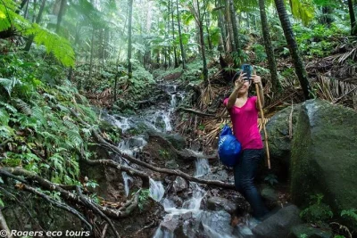 Climb mt liamuiga in st kitts with a guided caldera trek, local stories, and caribbean views. includes pickup, refreshments, and expert guide support.