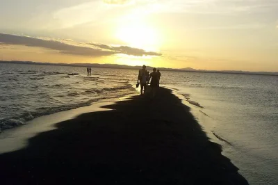 Spend a day on ometepe island exploring charco verde trails, swimming at ojo de agua, and catching sunset at punta jesus maria. includes lunch and bottled water.