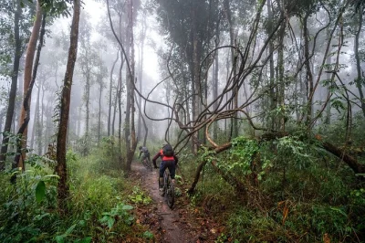 Pedala tra i sentieri della giungla di chiang mai, incontra gli abitanti hmong e rinfrescati a una cascata nascosta. include bici premium, attrezzatura, pranzo e guida locale.