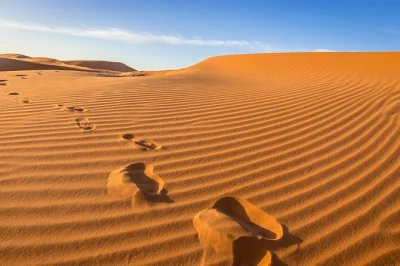 Explore morocco’s south from agadir with a guided desert tour—see flamingos, walk sahara dunes, visit tiznit’s silver market, and enjoy berber lunch. pickup included.