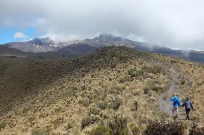 Los Nevados 2 Tage: Frailejones und Ausblick auf Nevado Tolima