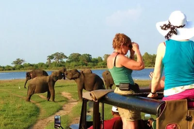 Explore yala and udawalawe in one day, spotting elephants and leopards with a local guide. includes hotel pickup, safari jeep, and picnic lunch.