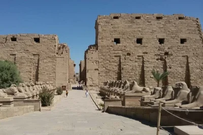 Explore karnak and luxor temples on a private half-day tour from luxor with an expert egyptologist guide, hotel pickup, and all entry fees included.