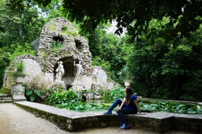 Descubre las vistas panorámicas de dubrovnik y el arboreto de trsteno del siglo xv en un tour privado con recogida, vehículo con aire acondicionado y guía local experto.