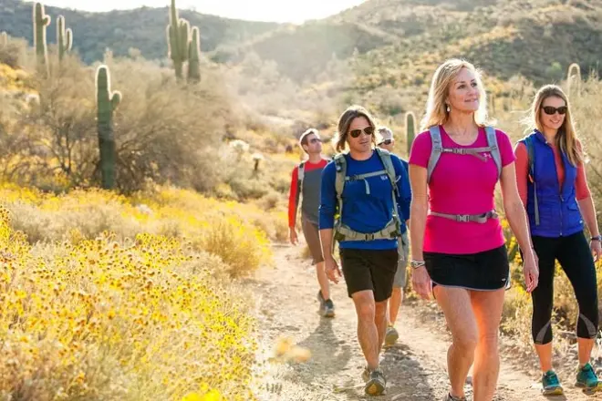 McDowell Sonoran Preserve Guided Hike Small Groups
