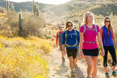 Senderismo guiado en McDowell Sonoran Preserve para grupos pequeños