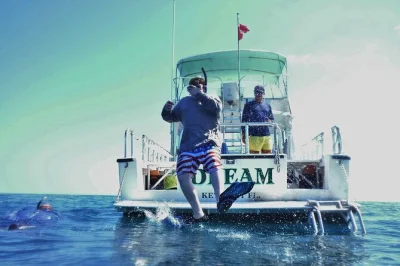 Explore o recife de coral de key west em um tour tranquilo de snorkel em grupo pequeno. duas paradas nos recifes, equipamento completo, equipe amigável e fácil embarque — só precisa trazer seu ma