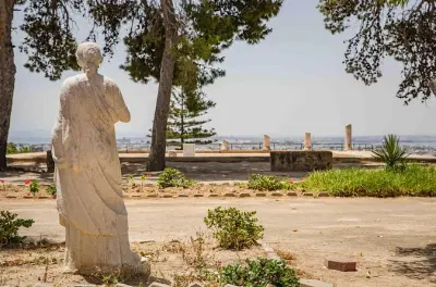 Tour privato a piedi del sito archeologico di Cartagine