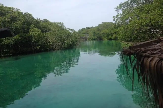 Roatan Mangroven-Tunnel-Abenteuer: Inselrundfahrt mit Cayuco-Boot