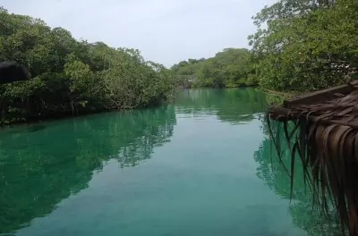 Roatan Mangroven-Tunnel-Abenteuer: Inselrundfahrt mit Cayuco-Boot