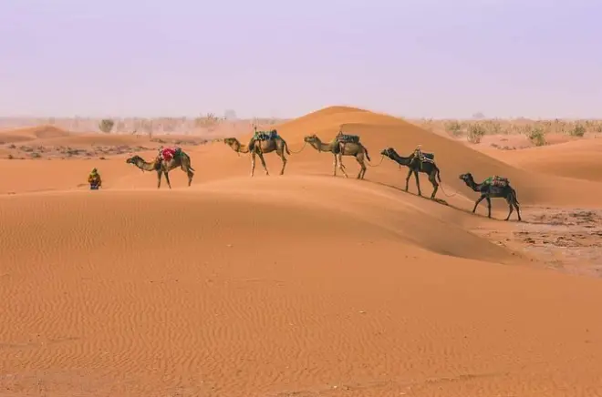De Marrakech al desierto de Merzouga: Dunas del Sahara y cultura