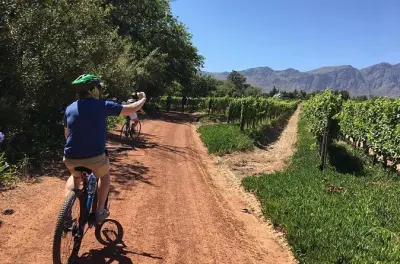 Franschhoek Radfahren & Weinverkostung: 4 Stunden zwischen den Reben