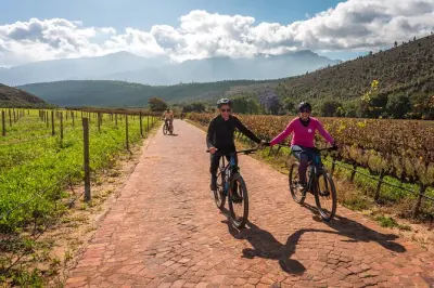 Franschhoek E-bike Ride & Wine with Lunch