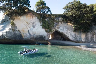 Scopri il lato selvaggio di whitianga con un tour in barca tra grotte marine, costa vulcanica e soste a cathedral cove—snorkel incluso e guida locale esperta.