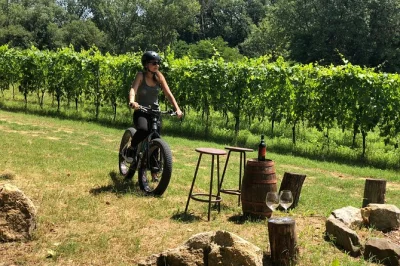 Pedal through montepulciano’s vineyards by e-bike, taste rosso & nobile wines at two local cellars, and enjoy a relaxed tour with flexible timing and lunch options.