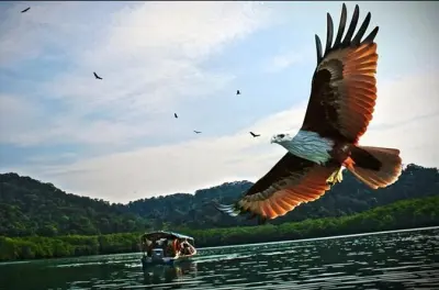 Tanjung Rhu Mangrove Boat Tour Langkawi: Private or Shared