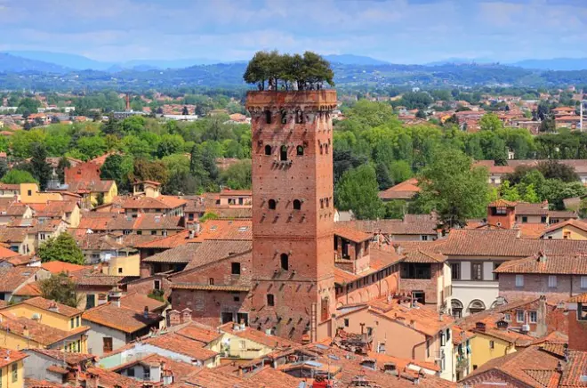 Florence and Lucca Shore Excursion: 9-hour Private Tour
