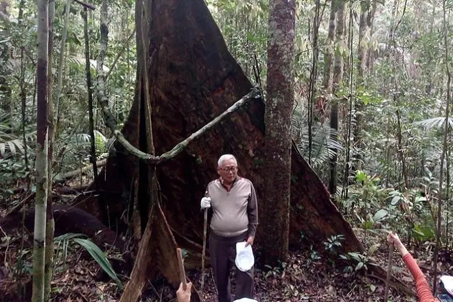 Dschungel-Überlebenstraining: Amazonas-Regenwald bei Manaus