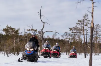Snowmobile Safari Rovaniemi: 2-Hour Wilderness Ride