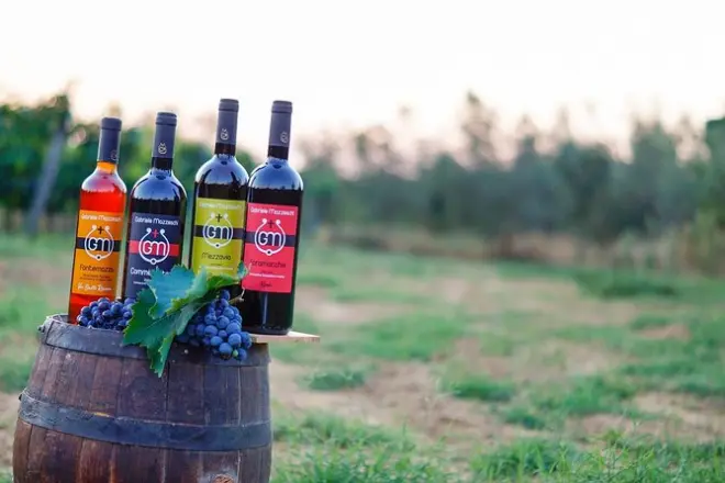 Dégustation de vin et huile à Arezzo : Vignoble, cave et produits locaux