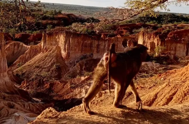 Dunas de arena de Malindi y depresión de Marafa al atardecer