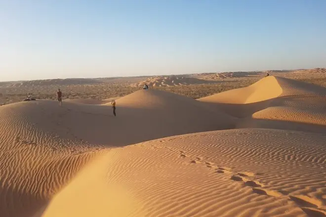 Salalah Desert Day Trip: Dunes, Ubar & Frankincense Trees