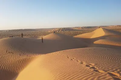 Salalah Desert Day Trip: Dunes, Ubar & Frankincense Trees