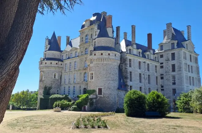 Vins et château de Brissac dans la vallée de la Loire depuis Angers