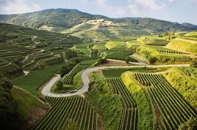 Kaiserstuhl & Elsass Wein Tour: Verkostungen mit Sommelier