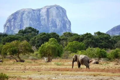 Safari ab Kalutara: Yala- oder Udawalawe-Nationalpark