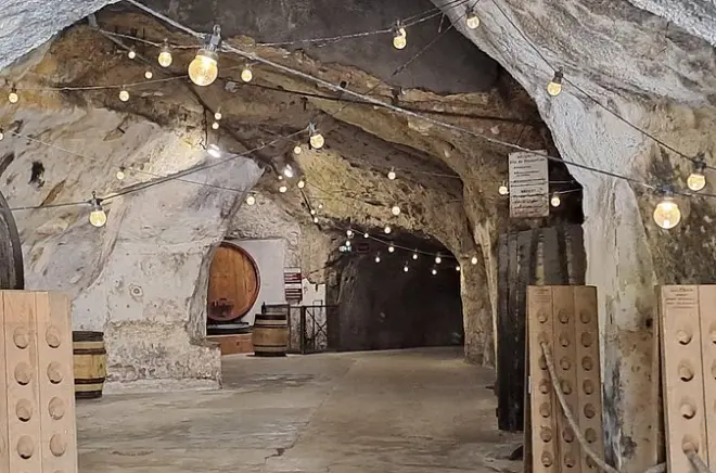 Dégustation de vins à Saumur : Trois domaines et caves troglodytes