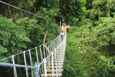 El Yunque Adventure Trail: Bridges, Rappelling & Swing