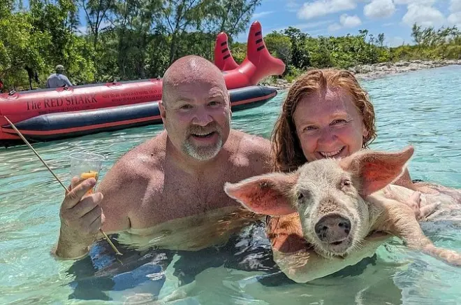 Mergulho com porcos em Paradise Island: Nade e alimente