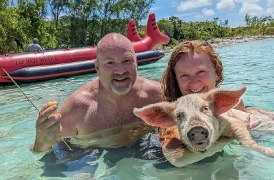 Mergulho com porcos em Paradise Island: Nade e alimente