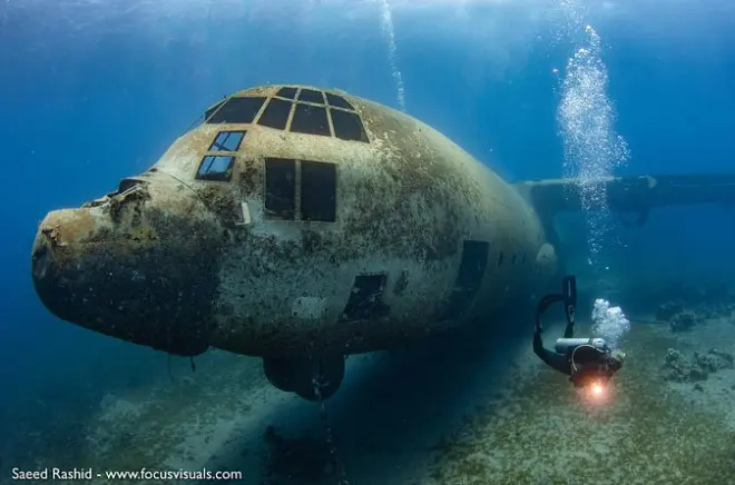 Immersioni ad Aqaba per sub certificati in resort PADI 5 stelle