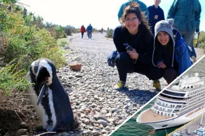Colonia de pingüinos en Punta Tombo: Un millón de aves