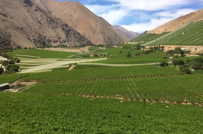 Elqui Valley tour: Wine, pisco, Gabriela Mistral sites