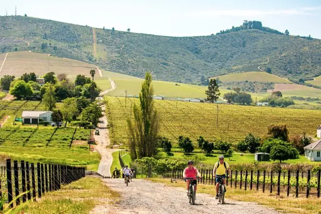 Stellenbosch EBike Wine Tour: 4 estates, tastings & lunch