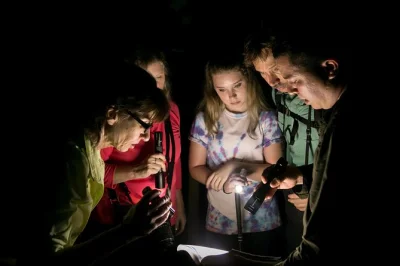 Step into the manuel antonio jungle after dark with a small group, guided by a local expert. spot frogs, snakes, and more—rain boots and flashlights included.