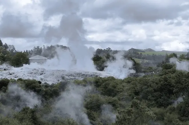Tour géothermal Māori à Rotorua depuis Tauranga : Déjeuner Hāngi