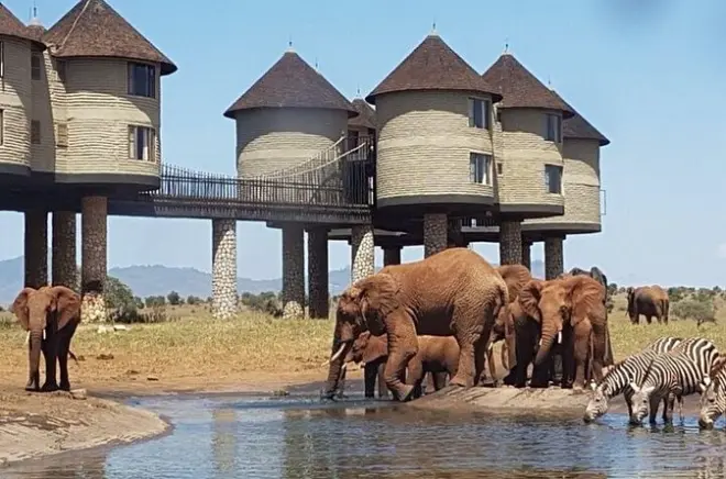 Safari de 3 dias em Tsavo East e Tsavo West saindo de Diani