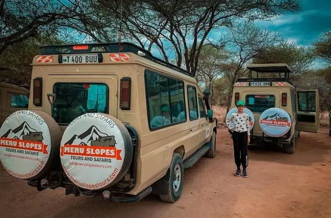 Serengeti, Tarangire e Ngorongoro: Safari de 4 dias