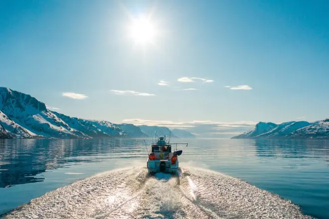 Croisière guidée dans le fjord d'Alta : 2 heures, faune et histoire