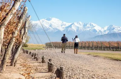 Tour de vinhos em Lujan de Cuyo: Três vinícolas e almoço gourmet